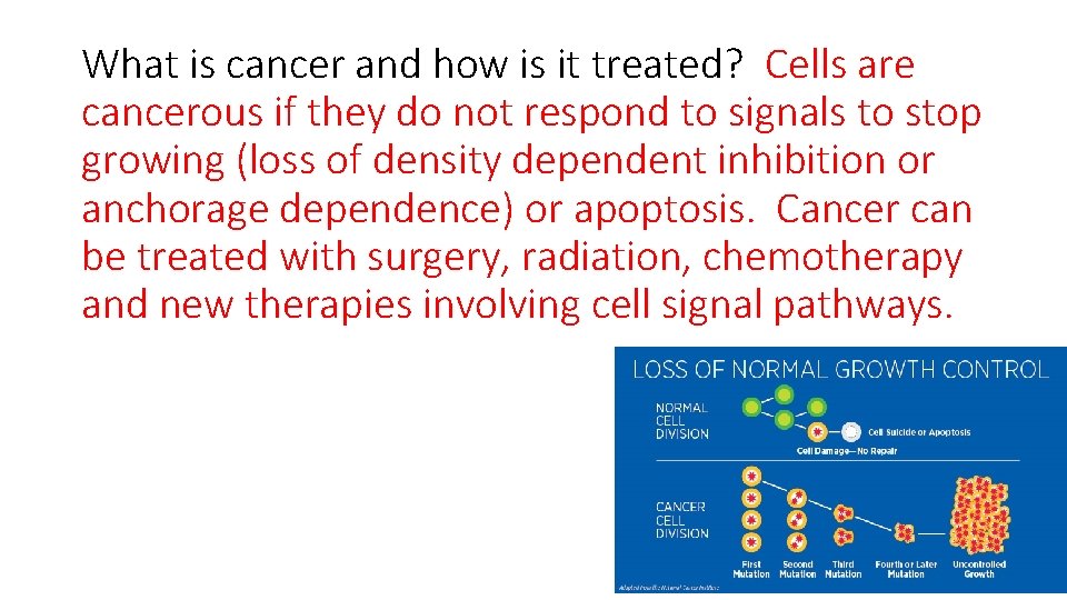 What is cancer and how is it treated? Cells are cancerous if they do
