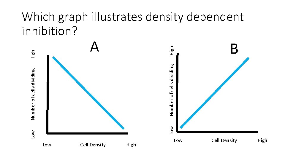 Which graph illustrates density dependent inhibition? High B Low Number of cells dividing High