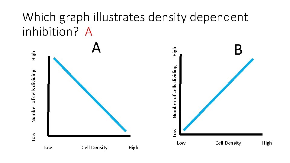 Which graph illustrates density dependent inhibition? A High B Low Number of cells dividing