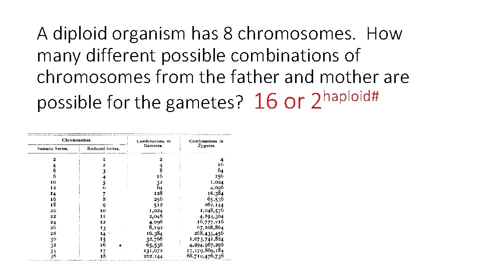 A diploid organism has 8 chromosomes. How many different possible combinations of chromosomes from