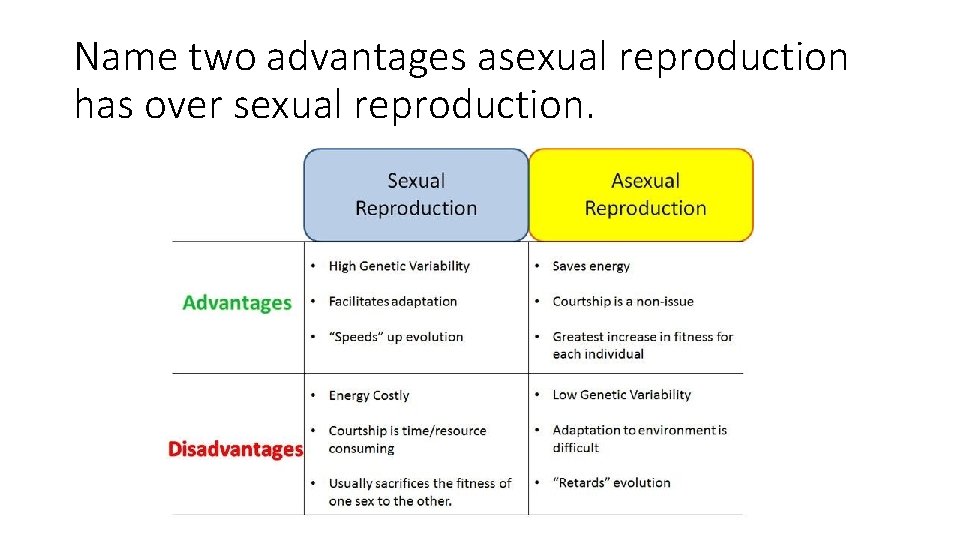 Name two advantages asexual reproduction has over sexual reproduction. 