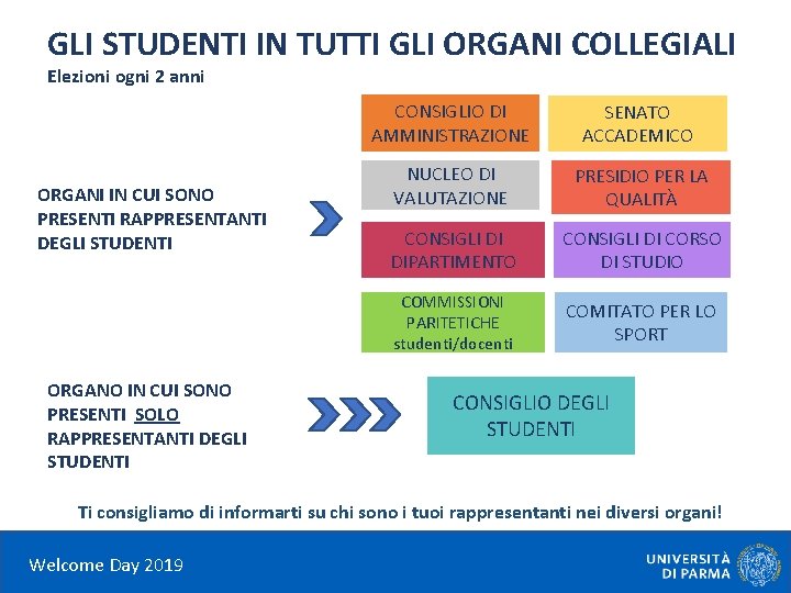 GLI STUDENTI IN TUTTI GLI ORGANI COLLEGIALI Elezioni ogni 2 anni CONSIGLIO DI AMMINISTRAZIONE