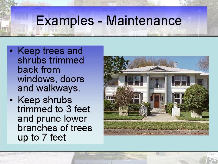 Examples - Maintenance • Keep trees and shrubs trimmed back from windows, doors and