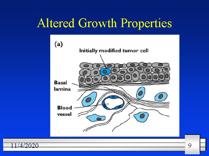 Altered Growth Properties 11/4/2020 9 