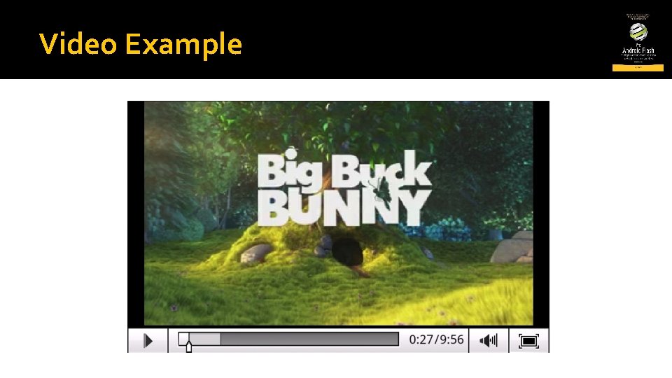 Video Example 