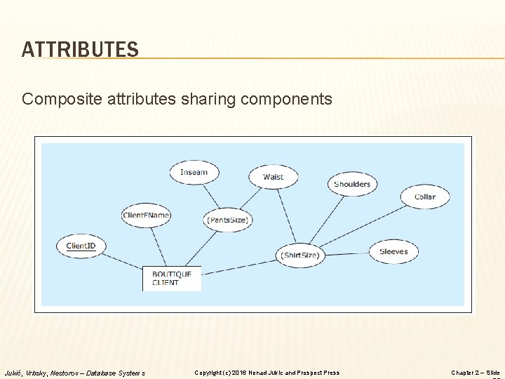 ATTRIBUTES Composite attributes sharing components Jukić, Vrbsky, Nestorov – Database Systems Copyright (c) 2016 ATTRIBUTES Composite attributes sharing components Jukić, Vrbsky, Nestorov – Database Systems Copyright (c) 2016