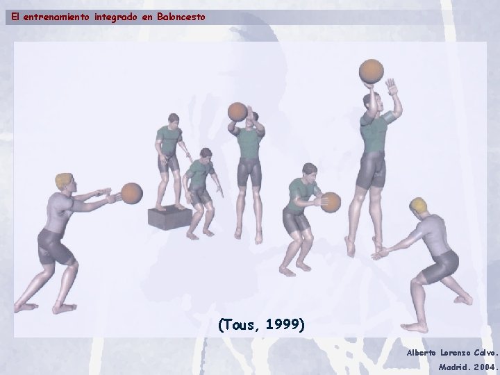 El entrenamiento integrado en Baloncesto (Tous, 1999) Alberto Lorenzo Calvo. Madrid. 2004. 