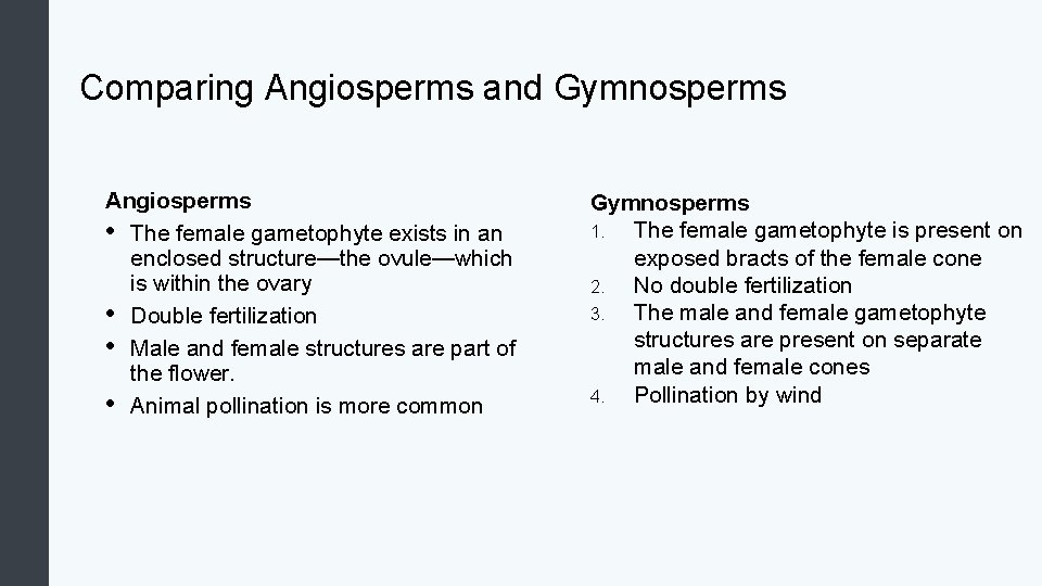 Comparing Angiosperms and Gymnosperms Angiosperms • The female gametophyte exists in an enclosed structure—the