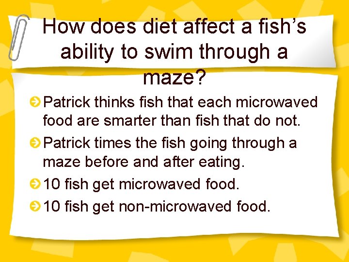 How does diet affect a fish’s ability to swim through a maze? Patrick thinks