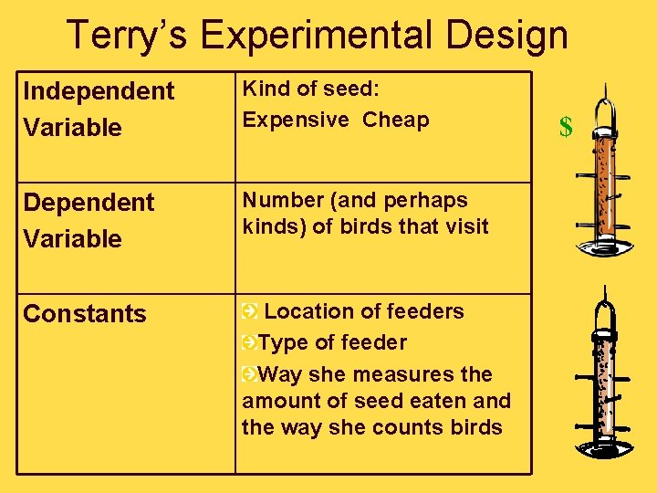 Terry’s Experimental Design Independent Variable Kind of seed: Expensive Cheap Dependent Variable Number (and