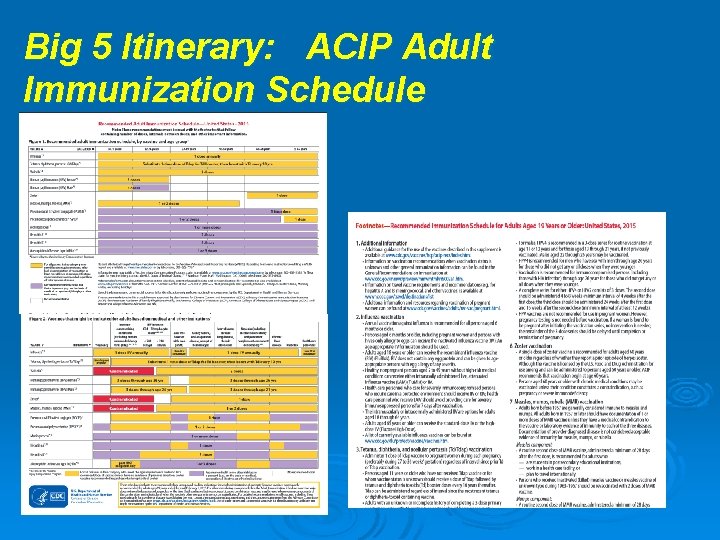 Big 5 Itinerary: ACIP Adult Immunization Schedule 