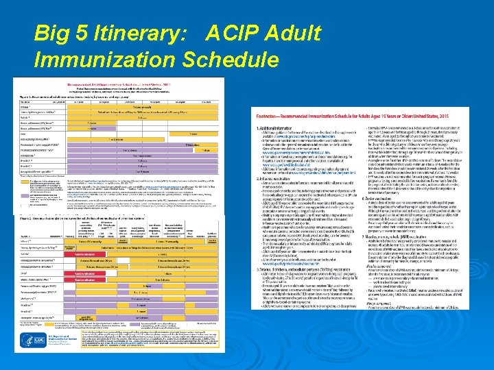 Big 5 Itinerary: ACIP Adult Immunization Schedule 