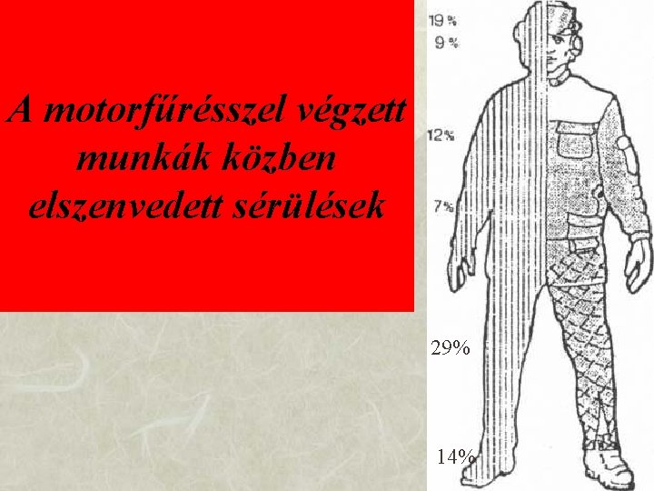 A motorfűrésszel végzett munkák közben elszenvedett sérülések 29% 14% 