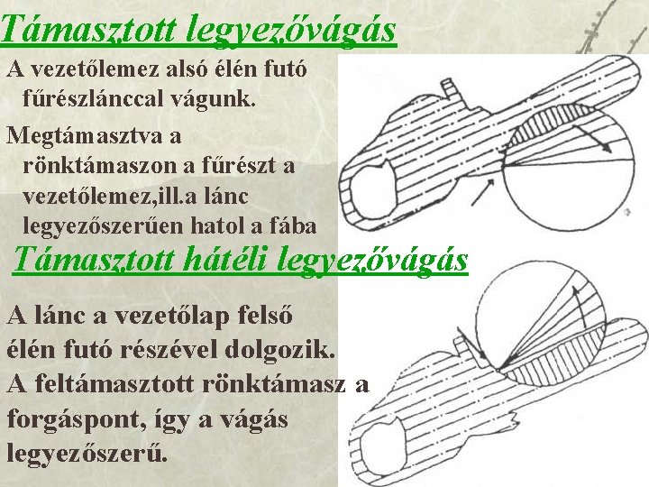 Támasztott legyezővágás A vezetőlemez alsó élén futó fűrészlánccal vágunk. Megtámasztva a rönktámaszon a fűrészt