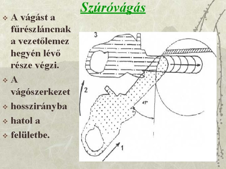 A vágást a fűrészláncnak a vezetőlemez hegyén lévő része végzi. v. A vágószerkezet v