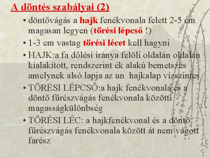 A döntés szabályai (2) • döntővágás a hajk fenékvonala felett 2 -5 cm magasan