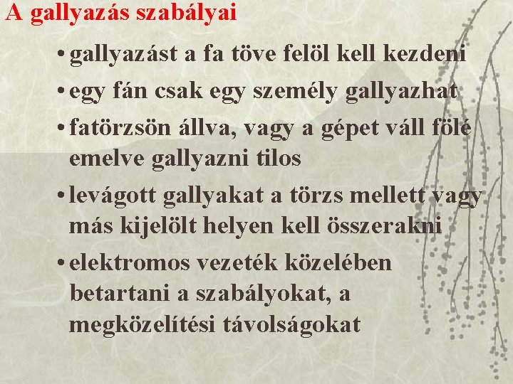 A gallyazás szabályai • gallyazást a fa töve felöl kell kezdeni • egy fán