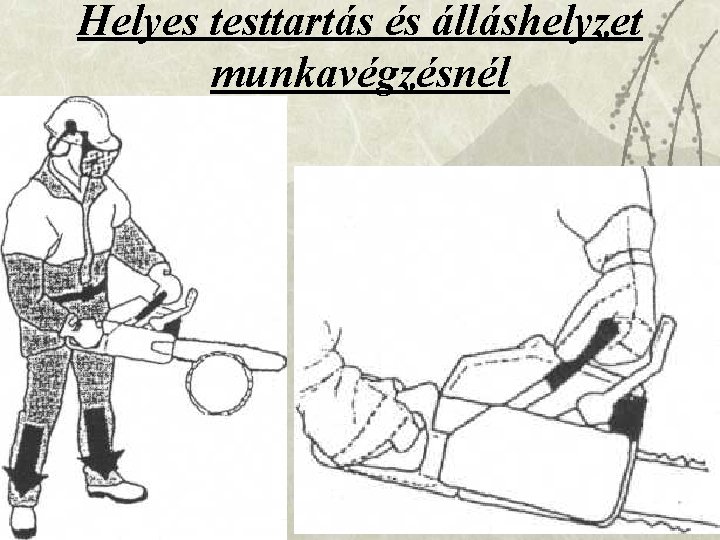 Helyes testtartás és álláshelyzet munkavégzésnél 