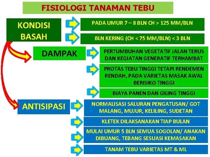 FISIOLOGI TANAMAN TEBU KONDISI BASAH DAMPAK PADA UMUR 7 – 8 BLN CH >