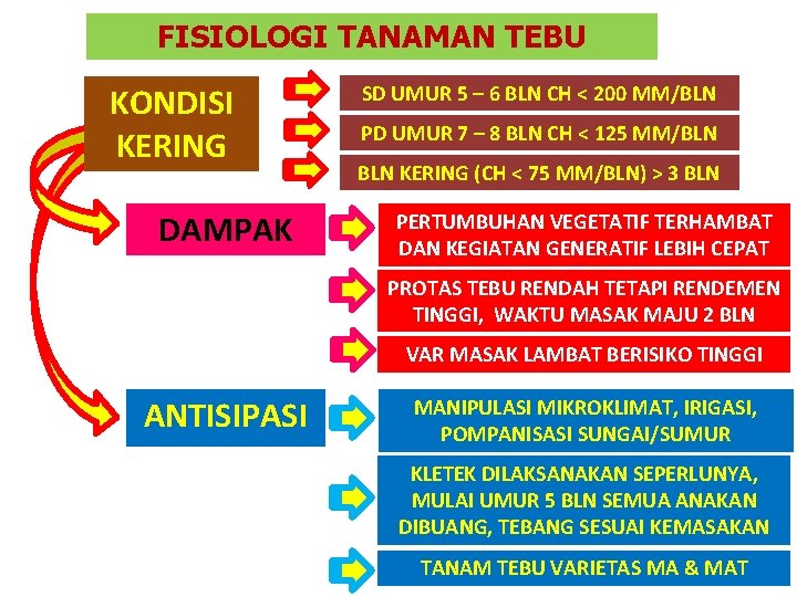 FISIOLOGI TANAMAN TEBU KONDISI KERING DAMPAK SD UMUR 5 – 6 BLN CH <