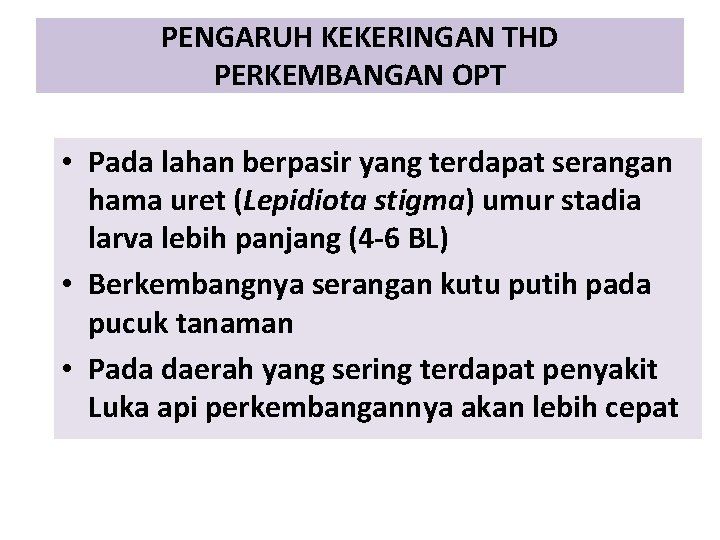 PENGARUH KEKERINGAN THD PERKEMBANGAN OPT • Pada lahan berpasir yang terdapat serangan hama uret