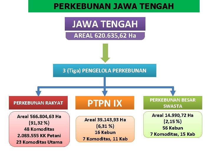 PERKEBUNAN JAWA TENGAH AREAL 620. 635, 62 Ha 3 (Tiga) PENGELOLA PERKEBUNAN RAKYAT Areal