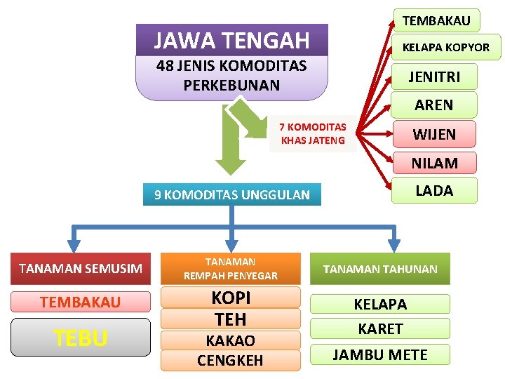 TEMBAKAU JAWA TENGAH KELAPA KOPYOR 48 JENIS KOMODITAS PERKEBUNAN JENITRI AREN 7 KOMODITAS KHAS