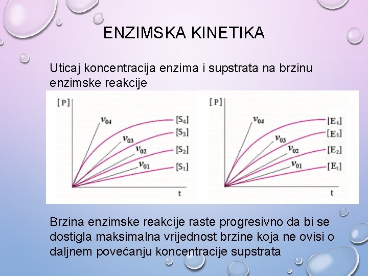 ENZIMSKA KINETIKA Uticaj koncentracija enzima i supstrata na brzinu enzimske reakcije Brzina enzimske reakcije