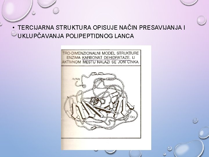 • TERCIJARNA STRUKTURA OPISUJE NAČIN PRESAVIJANJA I UKLUPČAVANJA POLIPEPTIDNOG LANCA • TERCIJARNA STRUKTURA OPISUJE NAČIN PRESAVIJANJA I UKLUPČAVANJA POLIPEPTIDNOG LANCA