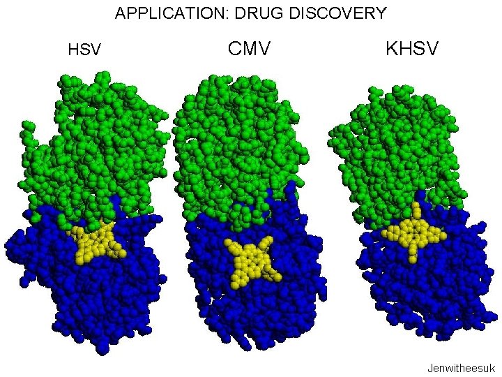 APPLICATION: DRUG DISCOVERY HSV CMV KHSV Jenwitheesuk 