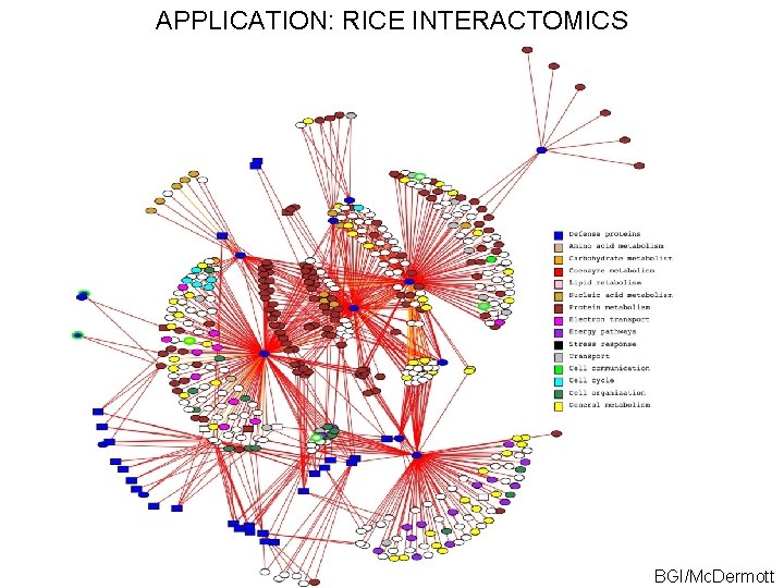 APPLICATION: RICE INTERACTOMICS BGI/Mc. Dermott 