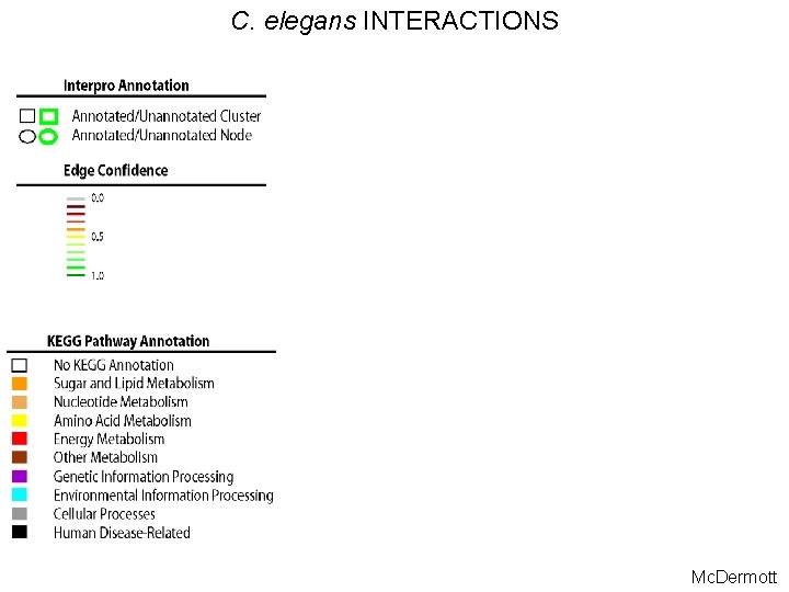 C. elegans INTERACTIONS Mc. Dermott 