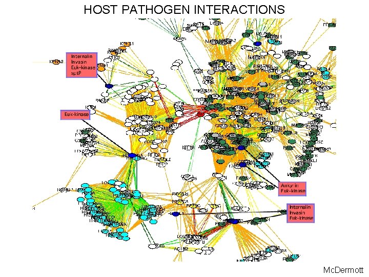 HOST PATHOGEN INTERACTIONS Mc. Dermott 