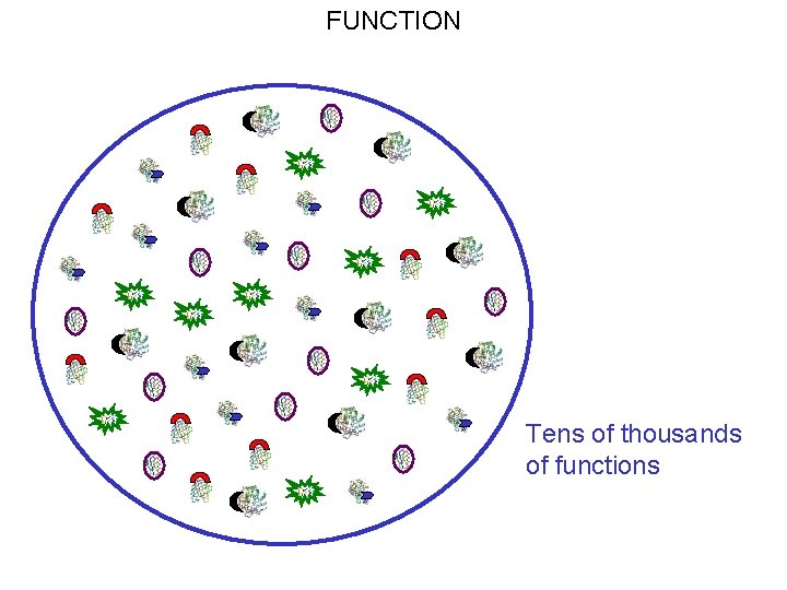 FUNCTION Tens of thousands of functions 