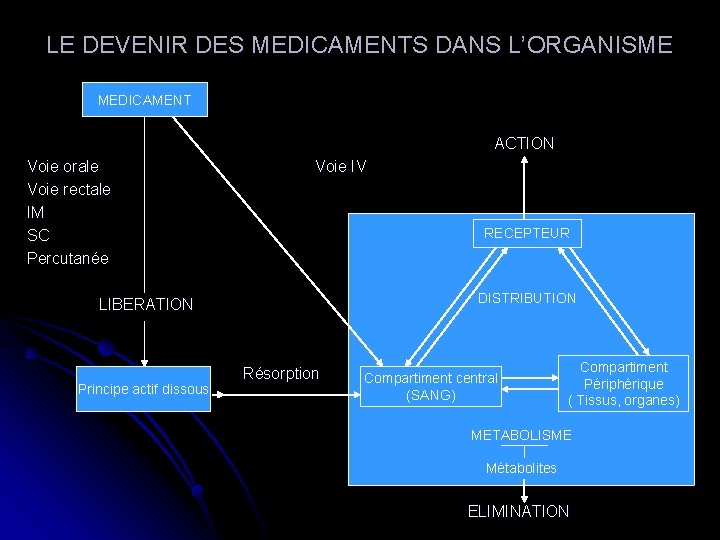 LE DEVENIR DES MEDICAMENTS DANS L’ORGANISME MEDICAMENT ACTION Voie orale Voie rectale IM SC