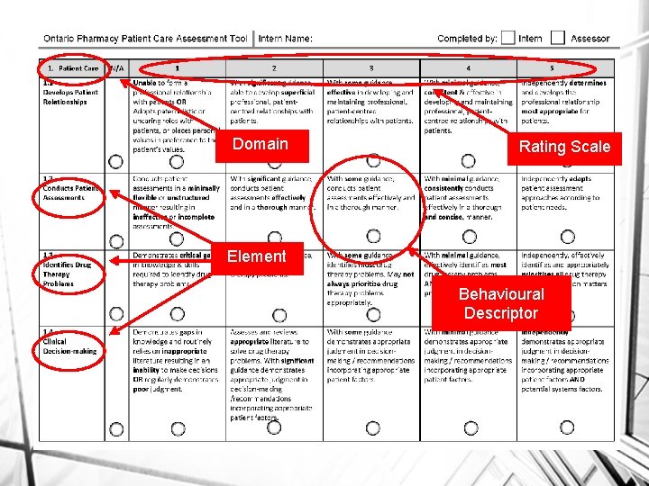 Domain Rating Scale Element Behavioural Descriptor 