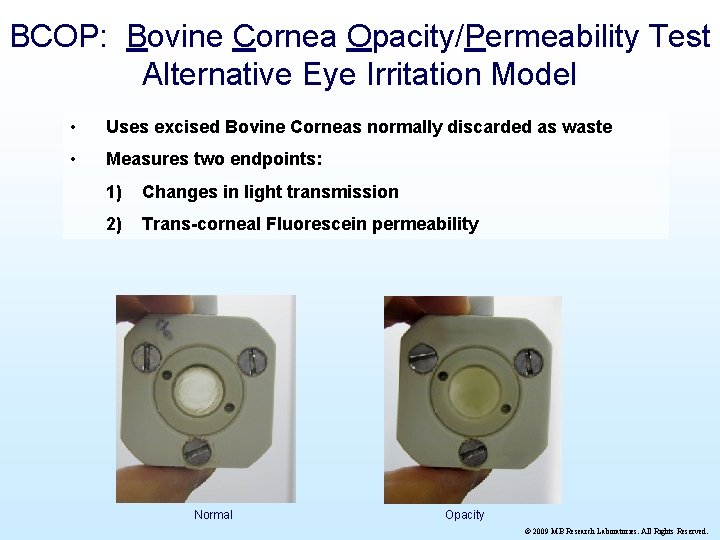 BCOP: Bovine Cornea Opacity/Permeability Test Alternative Eye Irritation Model • Uses excised Bovine Corneas