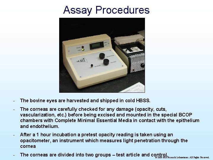 Assay Procedures - The bovine eyes are harvested and shipped in cold HBSS. -