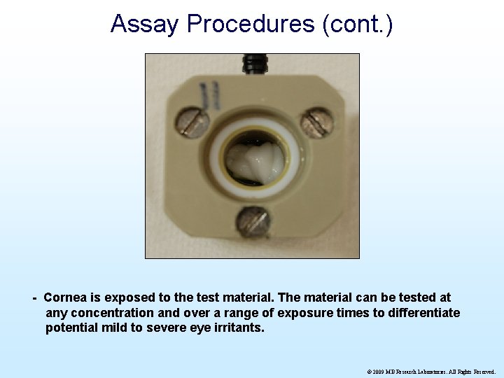 Assay Procedures (cont. ) - Cornea is exposed to the test material. The material