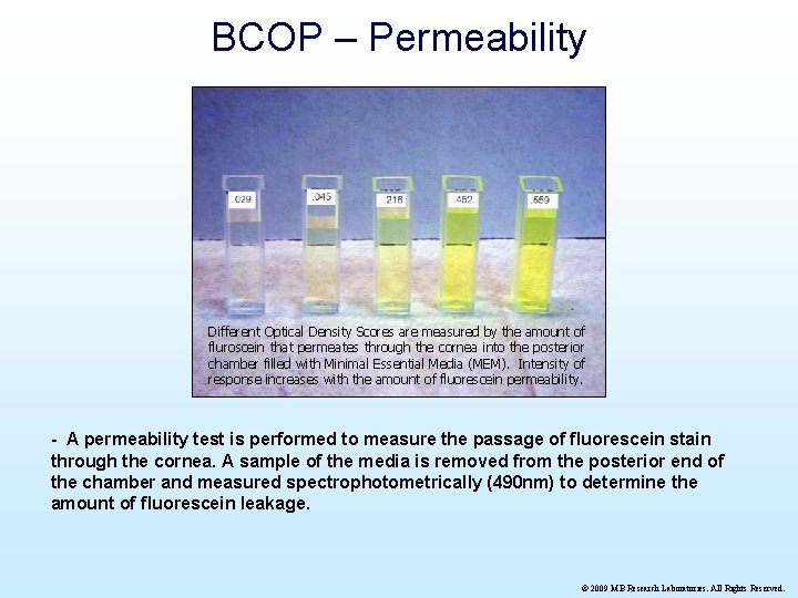 BCOP – Permeability Different Optical Density Scores are measured by the amount of fluroscein