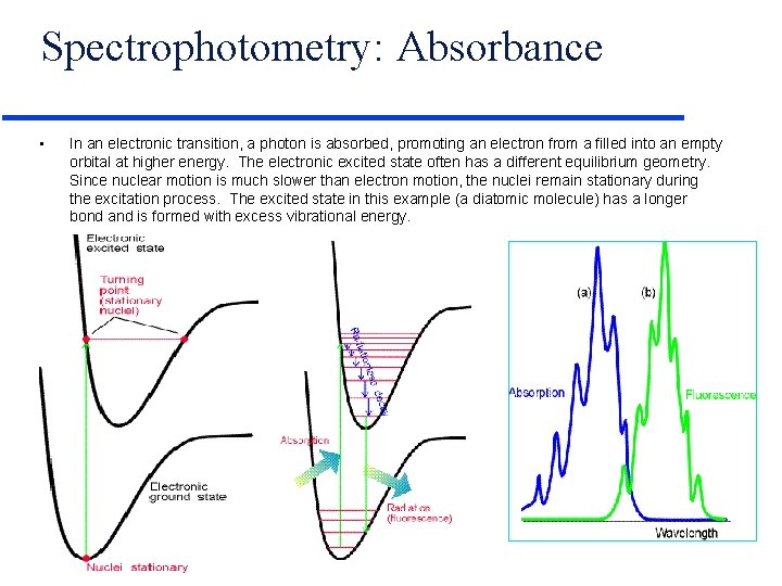 Spectrophotometry: Absorbance • In an electronic transition, a photon is absorbed, promoting an electron