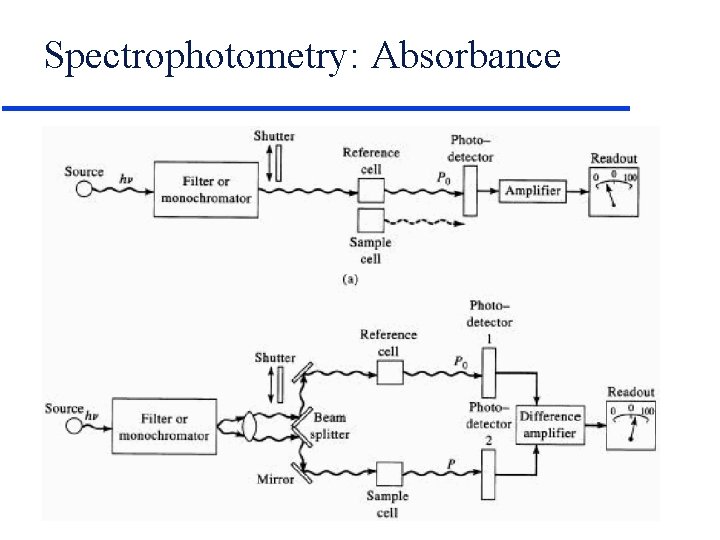 Spectrophotometry: Absorbance 