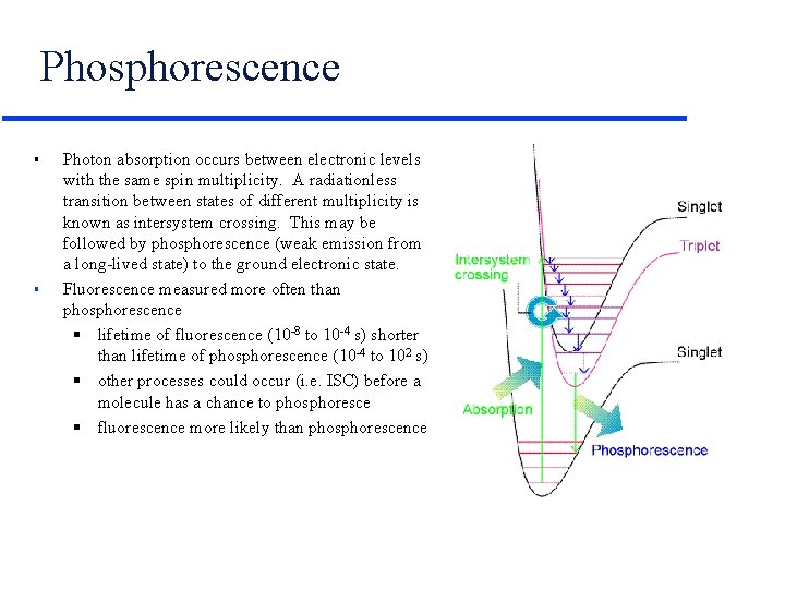 Phosphorescence § § Photon absorption occurs between electronic levels with the same spin multiplicity.