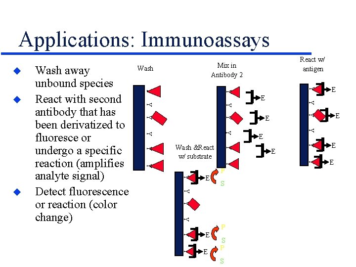 Applications: Immunoassays u Y Y Y Y Y E P S E E Y