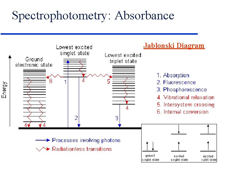 Spectrophotometry: Absorbance Jablonski Diagram 