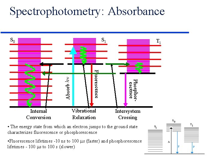 Spectrophotometry: Absorbance S 1 Vibrational Relaxation T 1 Phosphorescence Internal Conversion Fluorescence Absorb h