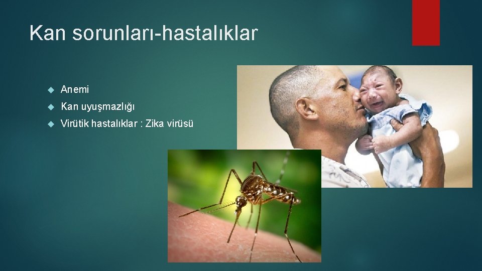 Kan sorunları hastalıklar Anemi Kan uyuşmazlığı Virütik hastalıklar : Zika virüsü 