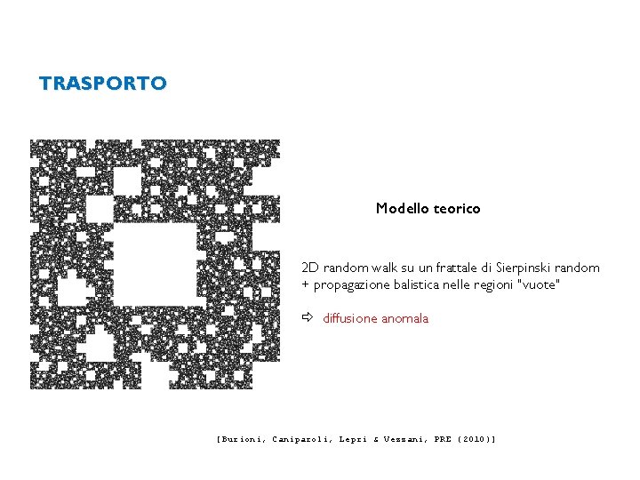 TRASPORTO Modello teorico 2 D random walk su un frattale di Sierpinski random +