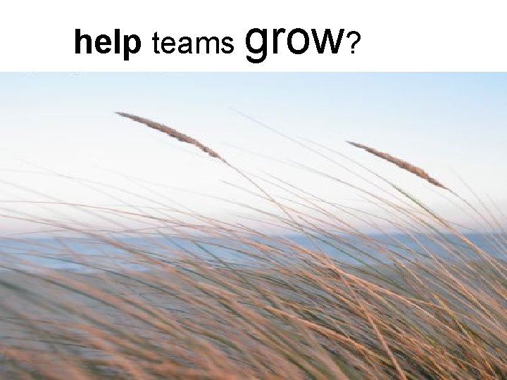 help teams grow? § Using the cube concept, how do you recognize when you