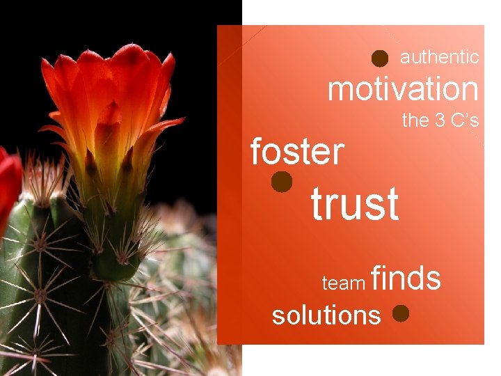 authentic motivation the 3 C’s foster trust team finds solutions 